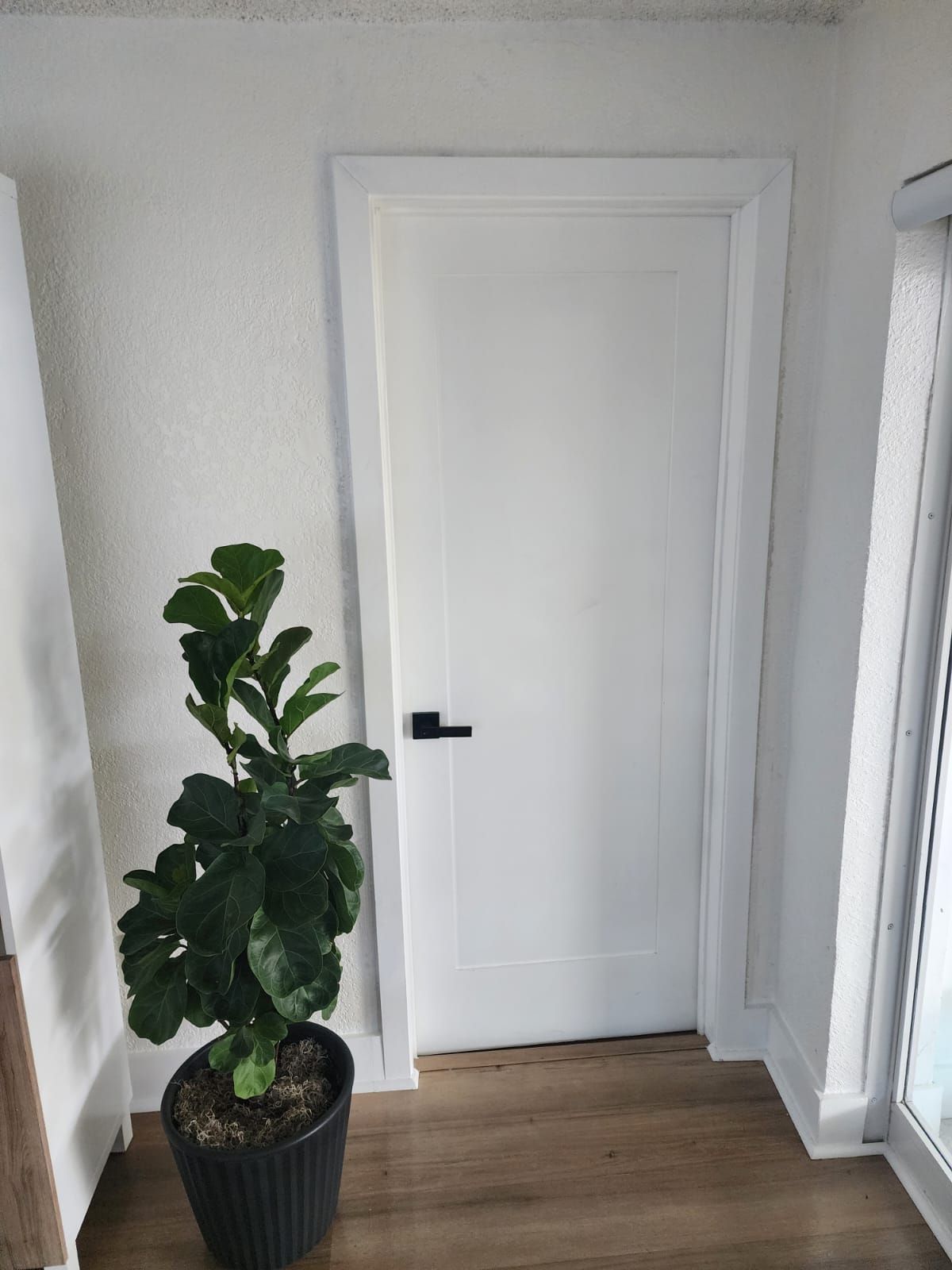 Shaker Interior Door