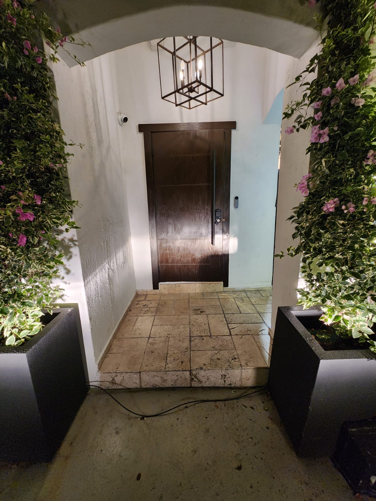 Dark Wood Entryway